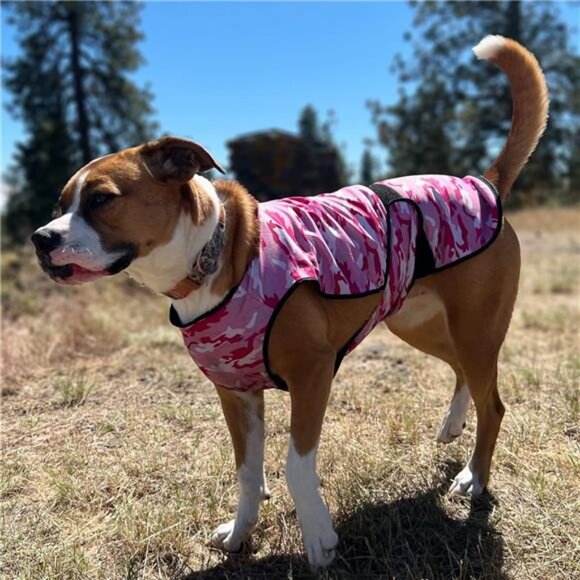 Dog Cooling Vest, Lightweight 2-Layer Camo Army Print Pet Cooler Jacket - Picture 2 of 14